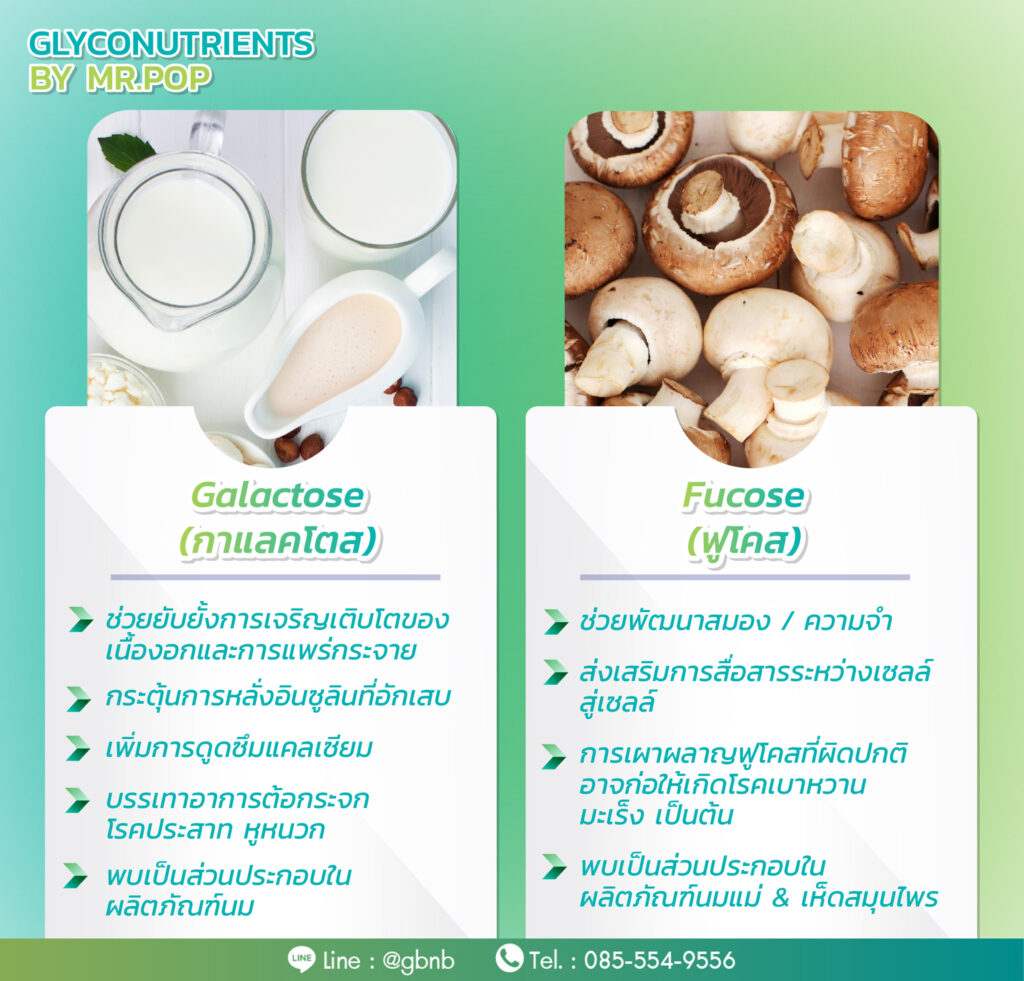 ไกลโคนิวเทรียนท์ glyconutrients by pop