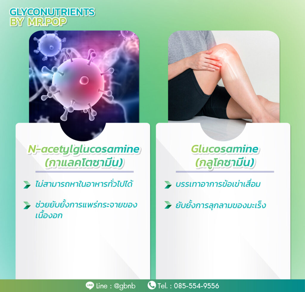 ไกลโคนิวเทรียนท์ glyconutrients by pop